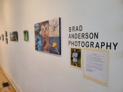 Brad Anderson Photography July 2021