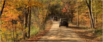 Jeeps driving through the woods in the fall